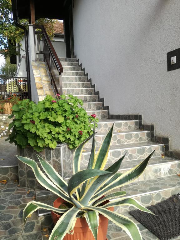 Apartments Dedic Dubrave Gornje Kültér fotó